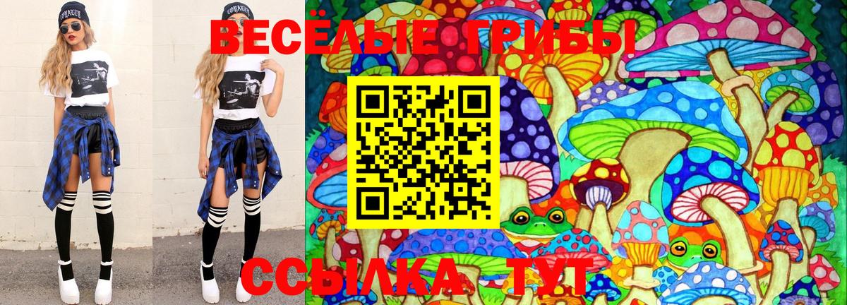Карачаевск  Галлюциногенные грибы мицелий  Вход с VPN 